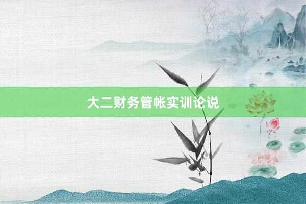 大二财务管帐实训论说