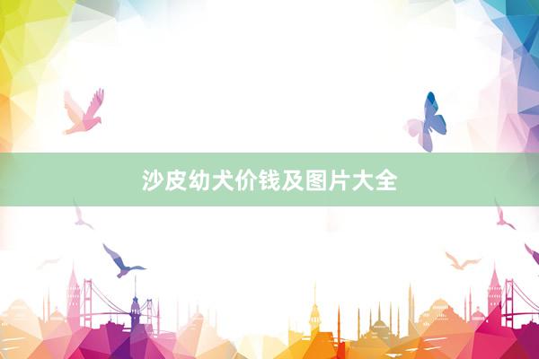 沙皮幼犬价钱及图片大全